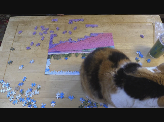 Puzzled: Japan