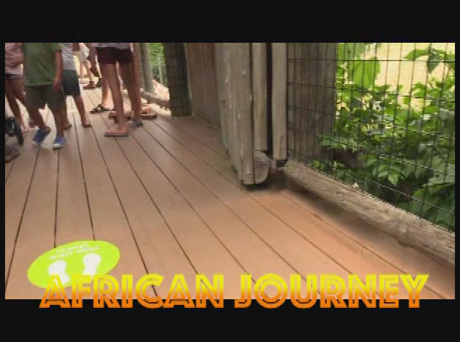 Wesley's TV: A Day At The Zoo Part 1