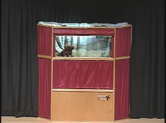 2015 Puppet Show