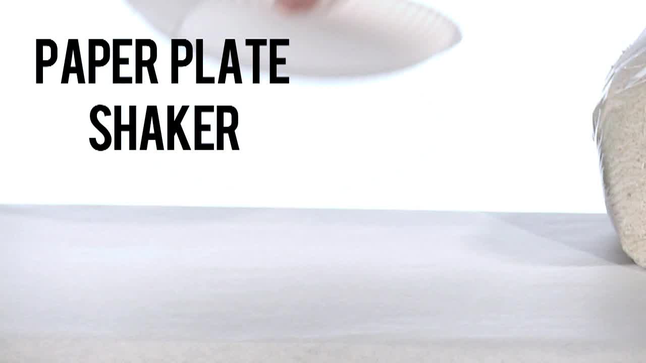 Family App-Make a Paper Plate Shaker