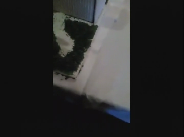 Pollard Presents: Beach Adventure