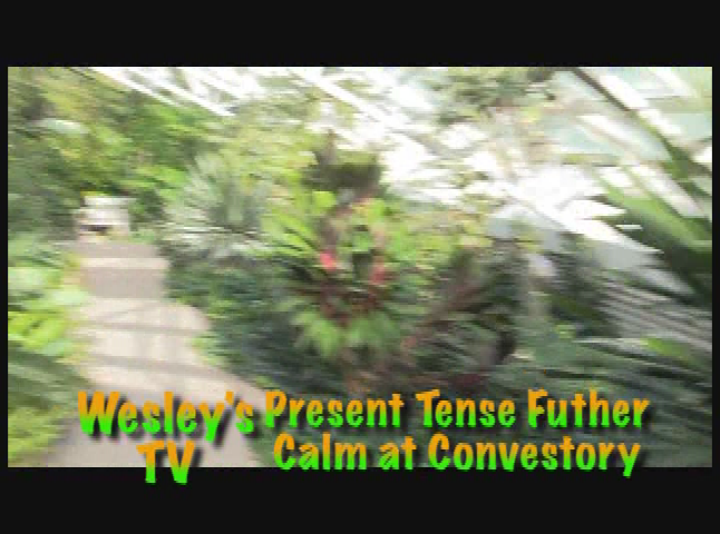 Wesley's TV: Present Tense Future Calm