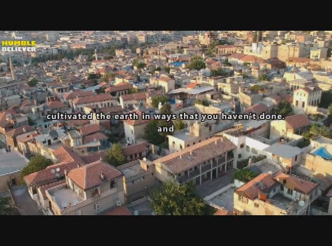 islam examined 11 8 2020