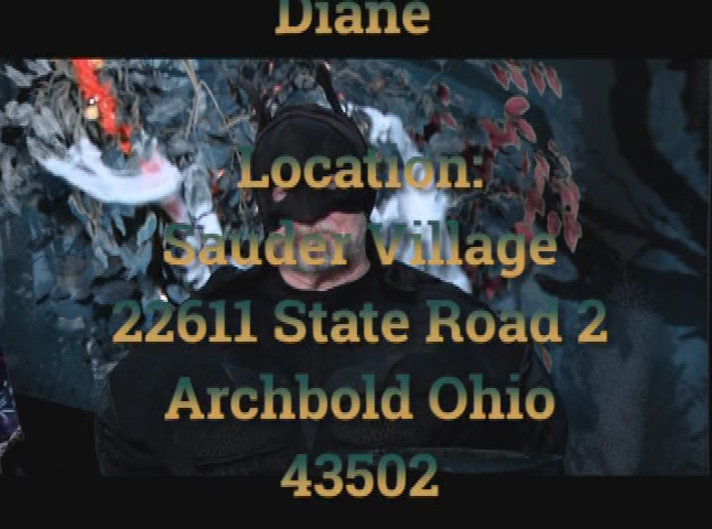 Wesley's TV:  On The Road - Sauder Village Part 1