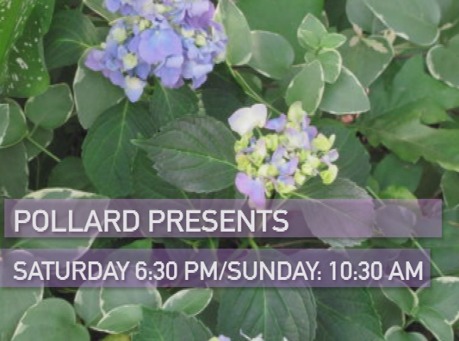 Pollard Presents