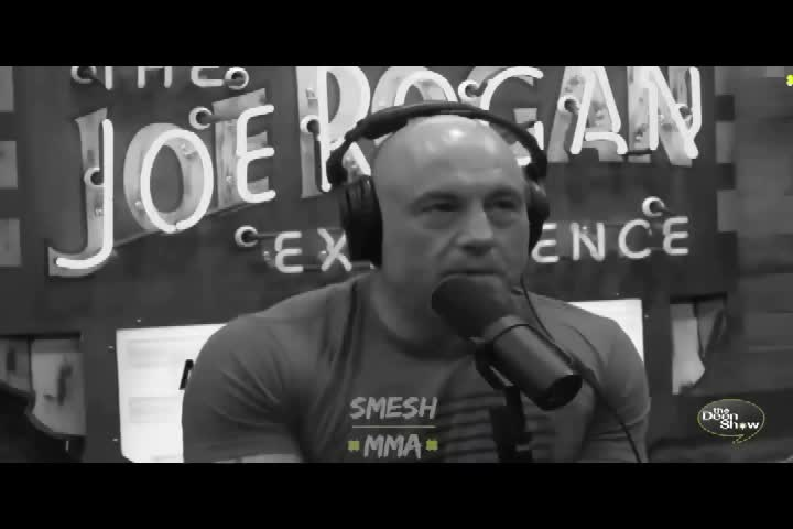 Islam examined 6 4 2023