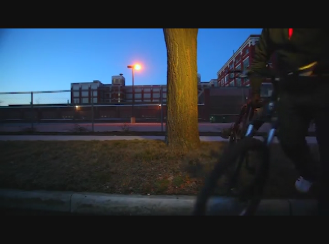 Sankofa-"21 Choices"