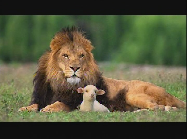 God of Second Chance Ministries