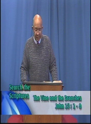 Search the Scriptures: The Vine and the Branches