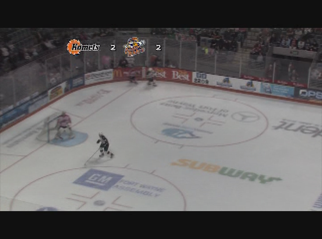 Komets vs. Swamp Rabbits 2/24