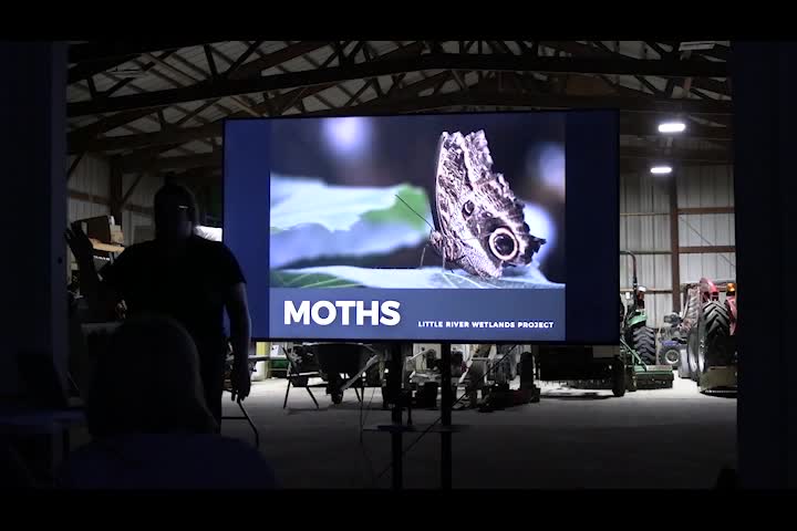 Navigate to Living Green on a Blue Planet - Moths