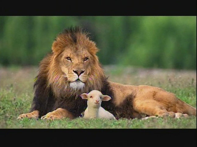 God of Second Chance Ministries: Discipline 2