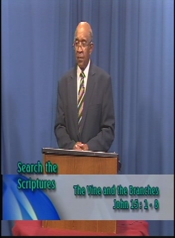 Search the Scriptures: The Vine and the Branches