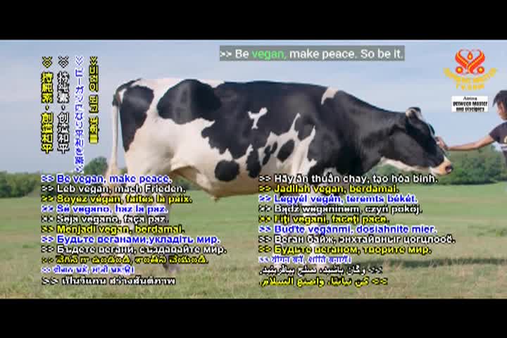 Supreme Master TV - 04-05-480p-60m