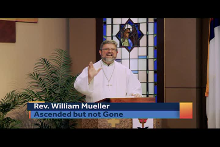 Worship Anew - #2272 051224