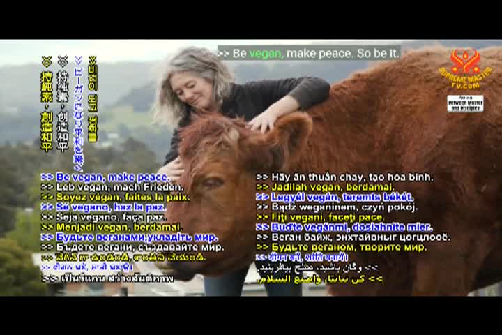 Supreme Master TV 04-06-480p-60m