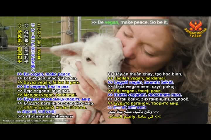Supreme Master TV 04-08-480p-60m