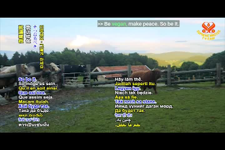 Supreme Master TV - 06-07-480p-60m