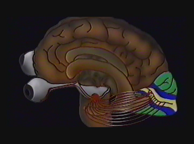 There Is More To Vision