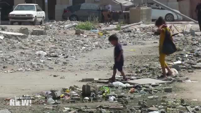 Democracy Now 2024-0808