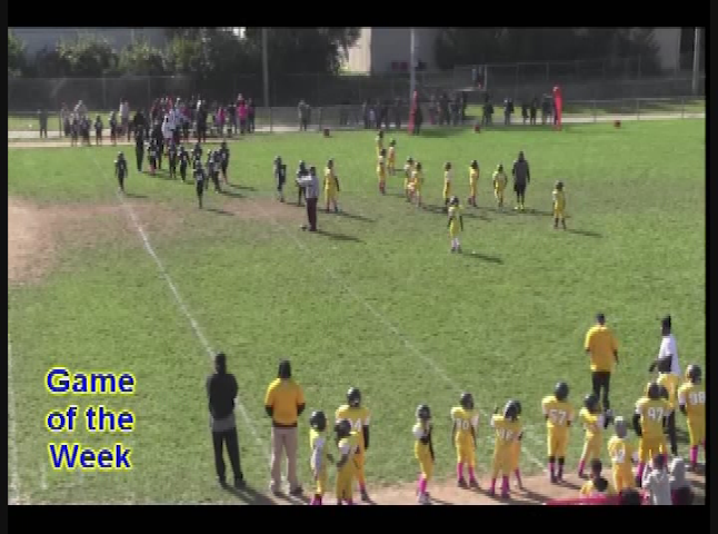 Metro Youth Sports Inc.: Tigers vs. Raiders