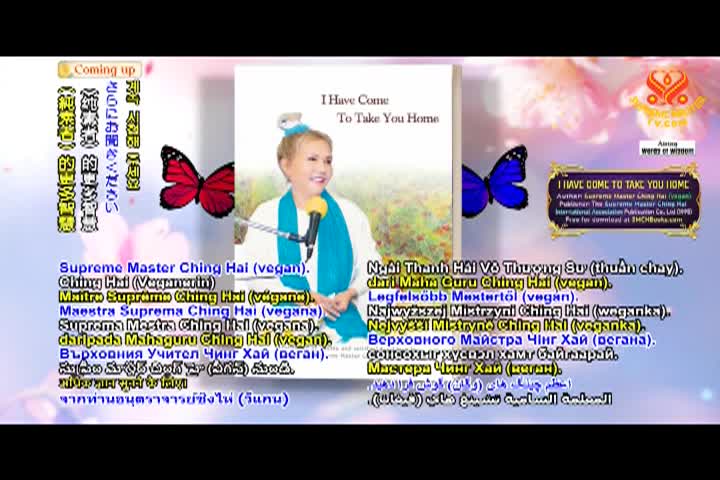 Supreme Master TV - 08-01-480p-60m