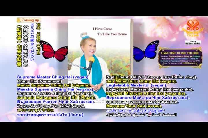 Supreme Master TV - 08-02-480p-60m