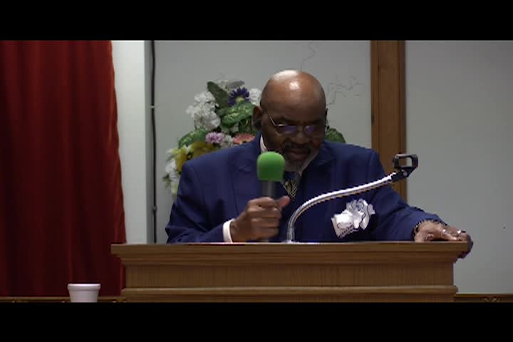 Tree of Life: 9/26/24  Rev Dale