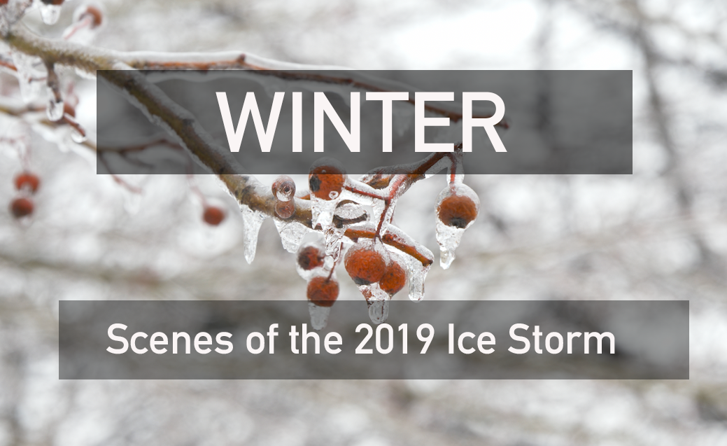 SHORTS Ice Storm 2019 music video