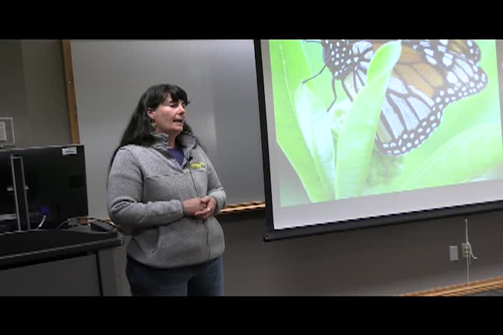 Navigate to Living Green on a Blue Planet - Pollinators