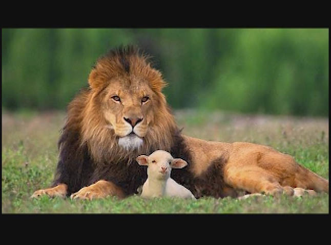 God of Second Chance Ministries: Why Do We Need a Saviour pt. 3