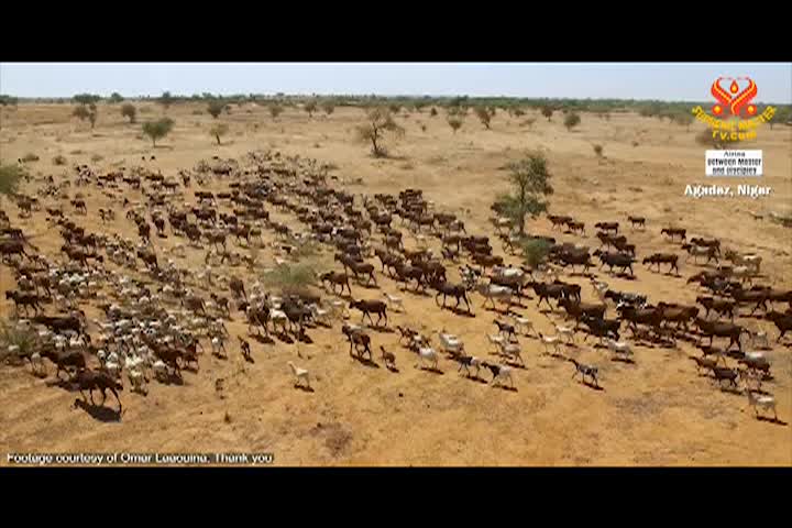 Supreme Master TV - 12-05-480p-60m