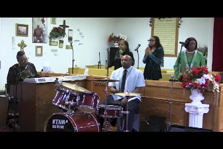 Tree of Life - 2-27-25