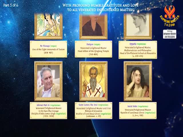 Supreme Master TV - 01-01-480p-60mA