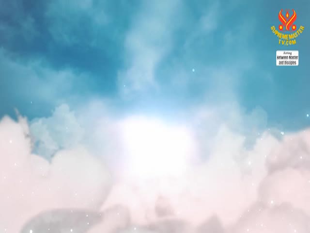 Supreme Master TV - 01-02-480p-60mA