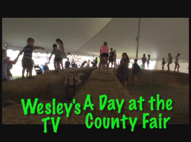 Wesley's TV: A Day at the County Fair
