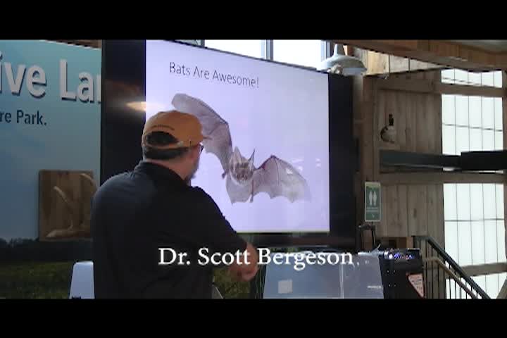 Navigate to Living Green on a Blue Planet - Bats