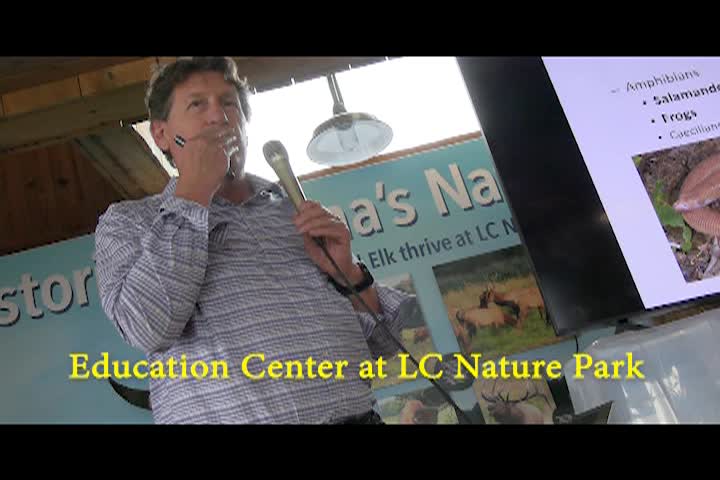 Navigate to Living Green on a Blue Planet - Amphibians