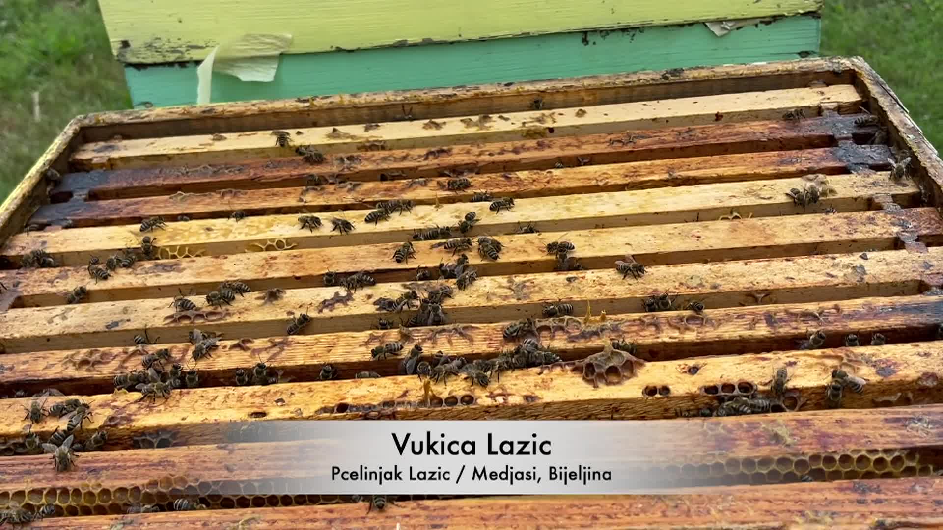 Cooking and Kids - Beekeeping S4E3