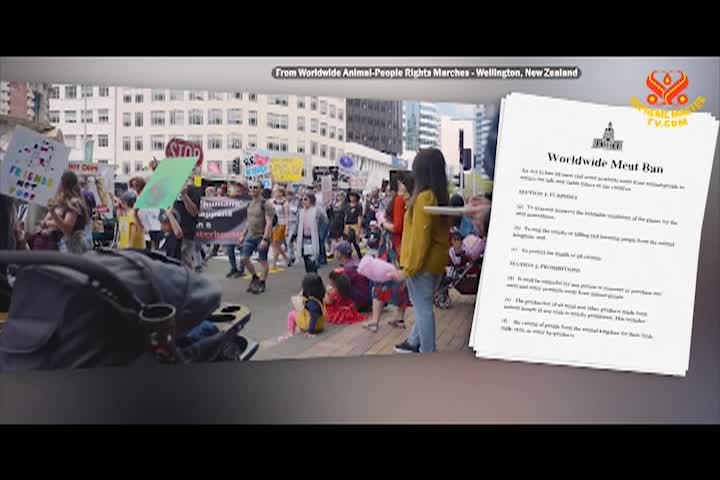 Supreme Master TV - 09-06-480p-60mAA