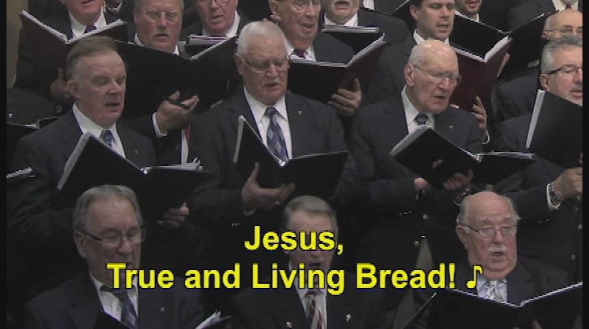 Worship Anew 1-12-19