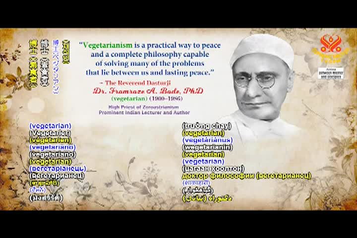 Supreme Master TV - 12-03-480p-60mb