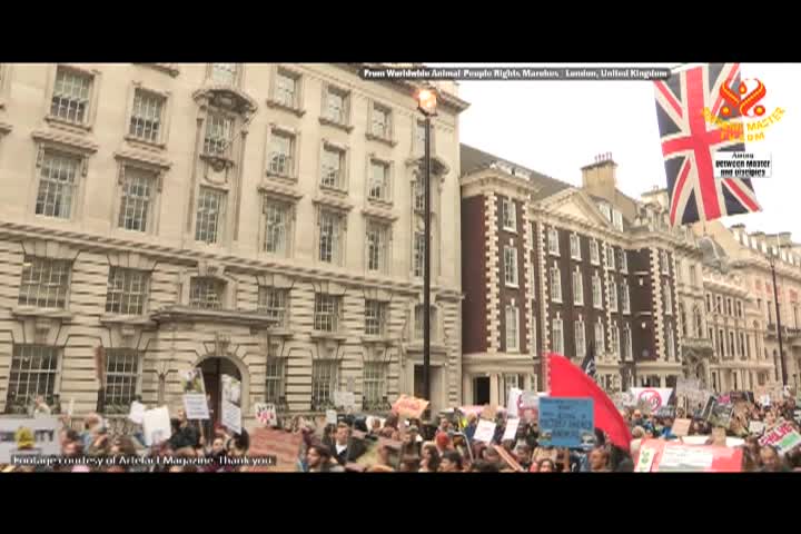 Supreme Master TV - 12-08-480p-60m 2026