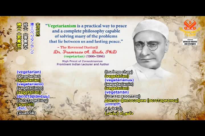 Supreme Master TV - 12-03-480p-60m 2026