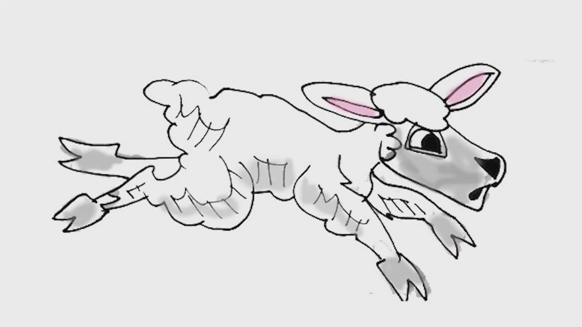 Dr. Draw #123 - The Sheep Show