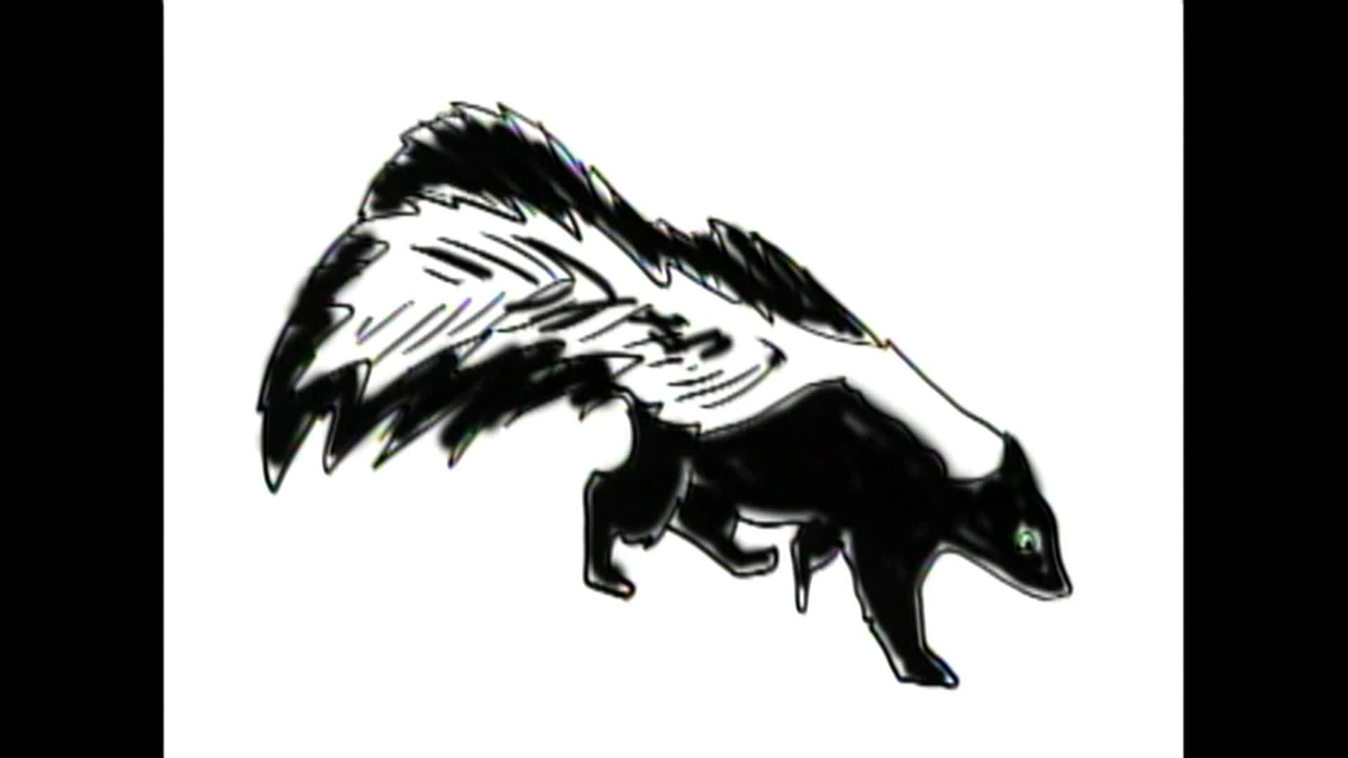 Dr. Draw - The Skunk Show