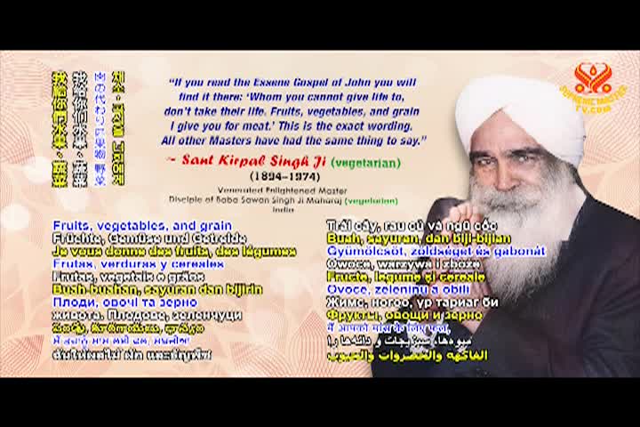 Supreme Master TV - 02-05