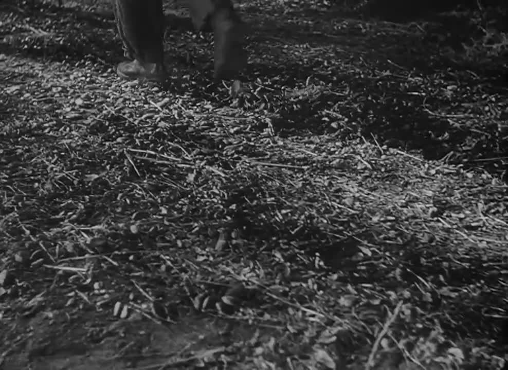 Movies I Found The Hitch-Hiker