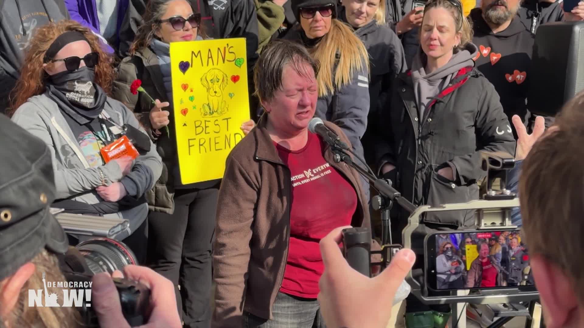 Democracy Now 2026-0421-hd
