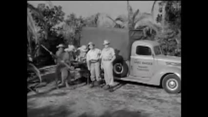 Don's Breakfast Serial - Killer Ape